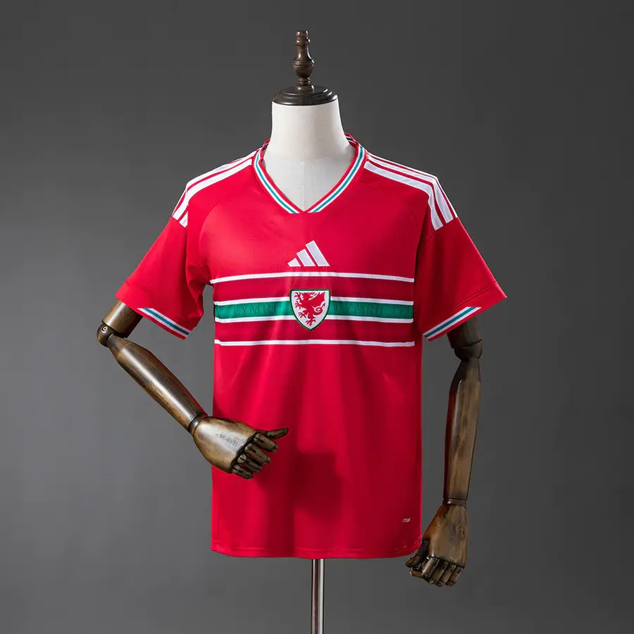 País de Gales 1º Uniforme Versão Torcedor · 26/27 · Masculino